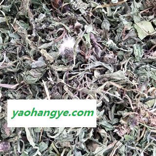 产地直销新货蒲公英选货，野生公英颜色青过筛过的干净无杂质，实物拍摄性价比高图1