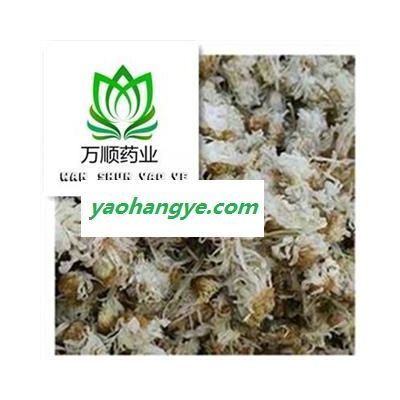 精品白菊花选货 颜色好 质量好 价格低 规格齐全  产地 河北省