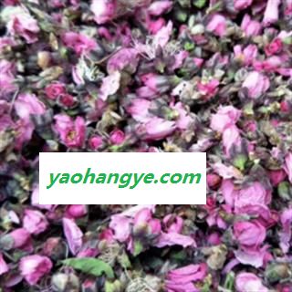 新辉药业桃花  山桃花图1