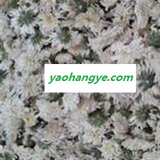 贡菊 贡菊花 颜色白 泡茶首选 精选无硫贡菊花 今年新货 促销中 产地 安徽省图1
