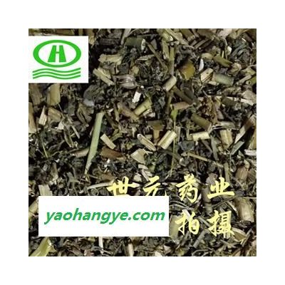 世元药业 泽漆 正品 别称-烂疤眼 乳浆草 五朵云 猫眼草 五凤草（亦做猫眼草代用品）