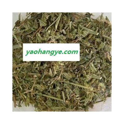 世元药业 吉祥草 观音草 玉带草 正品 如意草