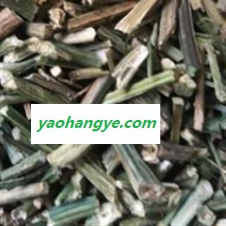 穿心莲 选 质量好价格低 买货有保障 产地 广西壮族自治区图1