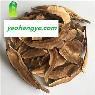 灵芝 统片 灵芝片 山东灵芝片图1