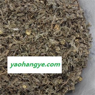 小蓟 选 物美价廉 产地 山东省图1