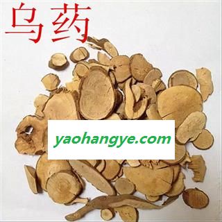 乌药 统片 产地 江西省  产地直销 重在质量图1