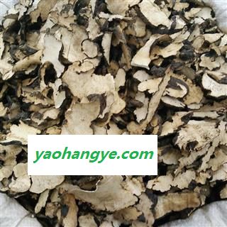 猪苓 统片 产地 黑龙江省 茗生春药材总公司 一手货源 7天无理由退换图1
