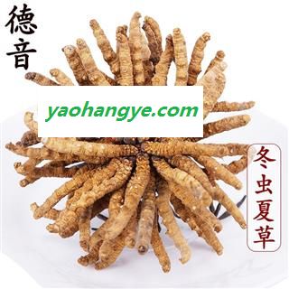 【满包邮】冬虫夏草5条/克 产地西藏那曲 中药材批发 规格齐全图1