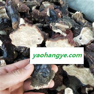 灵芝个 东北野生灵芝 产地 辽宁省图1