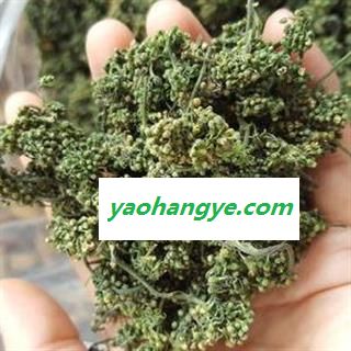 人参花 正品保证质量7天无理由退货退款 安品堂图1