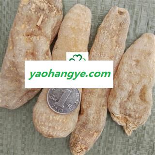 天麻 每个30/70克新货 颜色好 干度好 产地 云南省图1