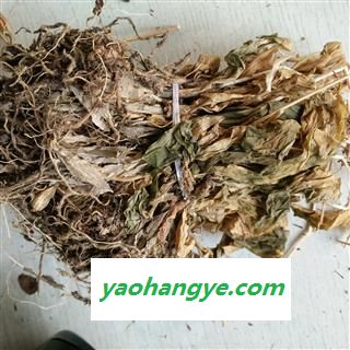 见血清 见血清水洗统货 正品见血清 产地 江西省图1