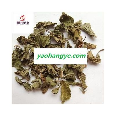 薄荷 野生薄荷 颜色绿 地道药材 药味浓 产地山东省