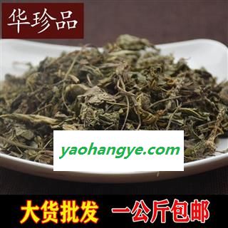 车前草 01 车前草 统 产地 湖南省邵阳市邵阳县图1