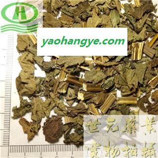 世元药业 香茶菜 正品别称 铁棱角 山薄荷 蛇通管 小叶蛇总管 母猪花头 野苏子 龟叶草图1