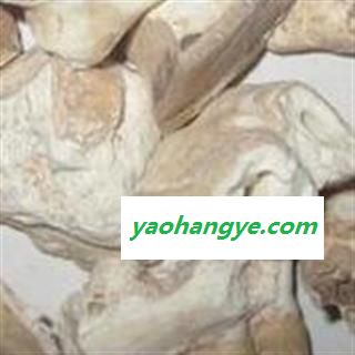 小丽百草行中药材龙齿 青龙齿 块状图1