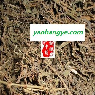凯捷中药 萹蓄 统货 产地 黑龙江省双鸭山市市辖区图1