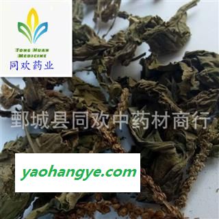 【车前草】@【同欢药材】中药材批发供应  规格齐全 量大从优  产地 山东省图1