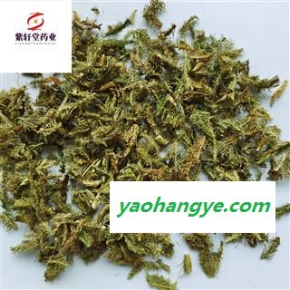 伸筋草 绿色统段 今年新货 无杂质 产地 云南省图1