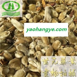 世元药业 辛夷花 正品 别称-林兰 桂兰 杜兰 木莲 木笔 黄心 紫玉兰 女郎花图1