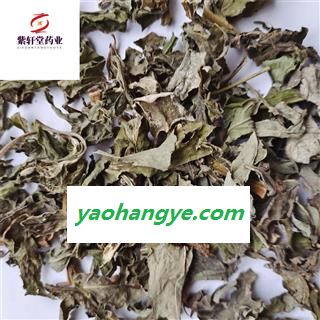 败酱草 野生败酱草 产地山东省 新货颜色好 地道药材 紫轩堂药业图1