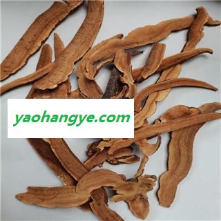 灵芝 01片 产地 山东省图1