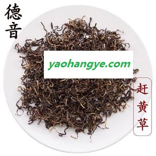 【满包邮】赶黄草叶 选货 产地古蔺 1000g 中药材批发 规格齐全图1
