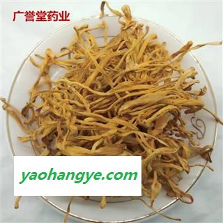 虫草花 虫草 金虫草 金虫草花 北冬虫草无硫选中药材批发图1