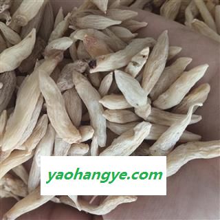 麦冬 统  今年新货  纯无硫大掉价 稍微有点红头  真厉害 产地 山东省图1
