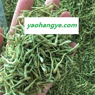 二花 金银花青花精选货 茶用花  纯青 纯净货 不掺山金银花 假一赔万 产地 河南省图1