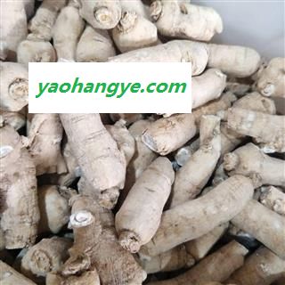 西洋参 新货上市大短支西洋参18-25g 产地 吉林省图1