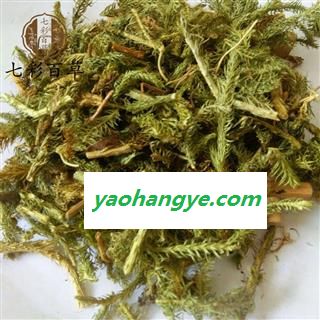 伸筋草 精选纯青  过纱窗 无沫 新店上线 货好价优图1
