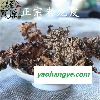 老龙皮B 网肺衣 统 产地 云南省图1