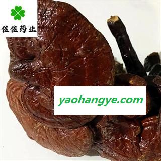 灵芝 选装灵芝个 实物图 品质保证 批发各类中药材 冷背货 矿石等 产地 吉林省图1
