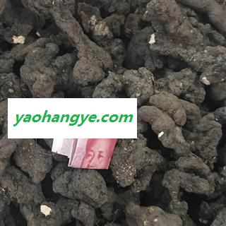 猪苓 大统个 产地 黑龙江省 茗生春药材总公司 一手货源 7天无理由退换图1