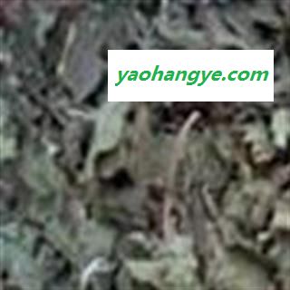 旱莲草 墨旱莲(旱莲草)棕褐色统货 产地 河北省图1