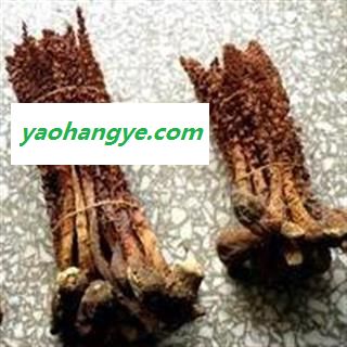圣草康园不老草 草苁蓉   无污染图1