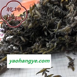 海藻 正品海藻 统货 高含量 产地 福建省【品种齐全 诚信经营】图1