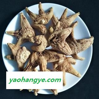 白芨 白及统个 产地 云南省 产地直销 重在质量图1