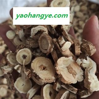 京辉药业 黄芪 蒙芪 选1个优质图1