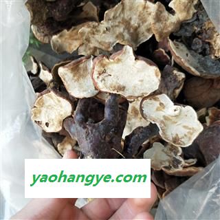 灵芝个 西藏高山野生灵芝小统个 产地 西藏自治区图1