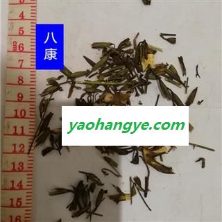 刘寄奴 统图1