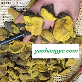 诺源药材行正品藏药灵芝  桑黄灵芝图1