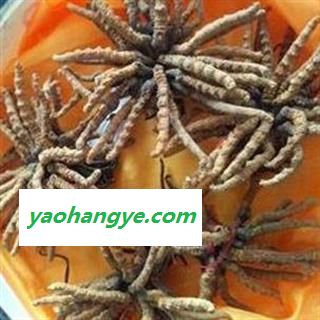 小丽百草行西藏冬虫夏草3800条图1