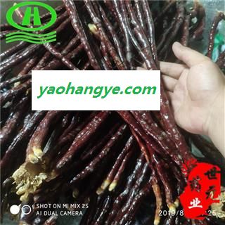 世元药业 灵芝草 灵芝根 三秀 菌灵芝根 药店诊所专供图1