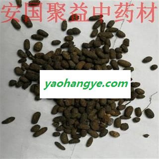 五灵脂 五灵脂米 产地 山西省图1