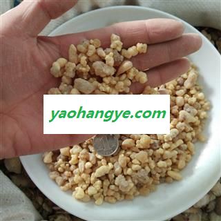 乳香 精品乳香珠 国药堂 专注品质 产地 海外图1