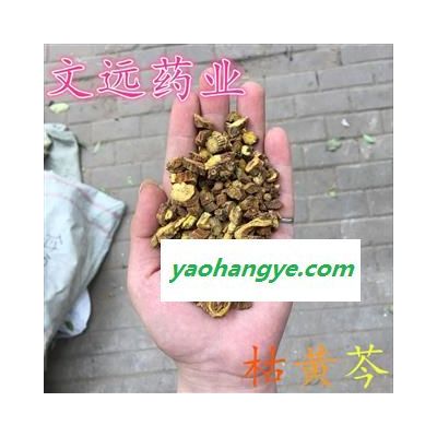 黄芩 苦黄芩 野生 枯黄芩 产地 陕西省榆林市市辖区