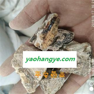 琥珀 产地 金珀 金蓝珀 绿茶珀 红茶珀 血珀 翳珀 花珀 棕红珀 蓝珀 绿珀 虫珀 蜜蜡 珀根图1