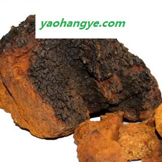 小丽百草行中药材灵芝  桦褐孔菌白桦茸 桦树黄 桦树菇、桦褐孔菌、西伯利亚灵芝图1